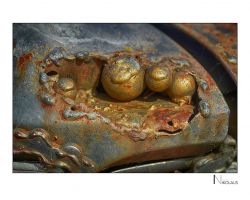 Buchheim Museum | Bernried Fotografie Artwork: Detail aus dem "Krakenauto" von Sigi Ulmer